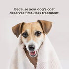 BioSilk For Dogs Moisturizing Shampoo, , large image number null